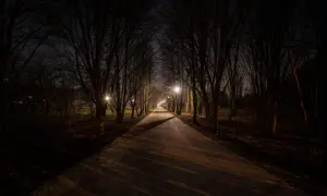 Ciemna aleja parkowa nocą, oświetlona latarniami. Brak światła przypomina kurzą ślepotę, brak jakiej witaminy A.
