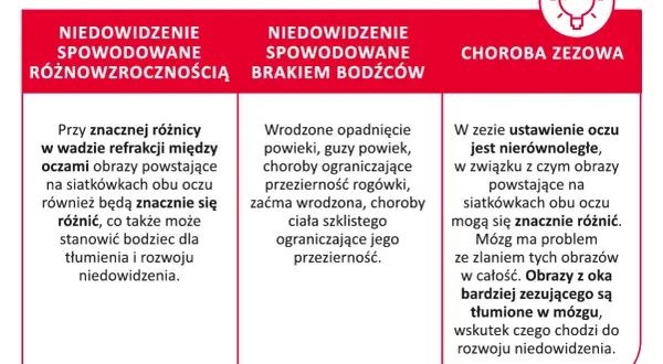 Obraz przedstawia trzy przyczyny niedowidzenia: różnowzroczność, brak bodźców i zez. Leniwe oko może być wynikiem tych schorzeń.