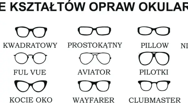 Ilustracja prezentuje różne rodzaje okularów: owalne, kwadratowe, prostokątne, pillow, nieregularne, wrap, ful vue, aviator, pilotki, okrągłe, pantos, kocie oko, wayfarer, clubmaster i motyl.