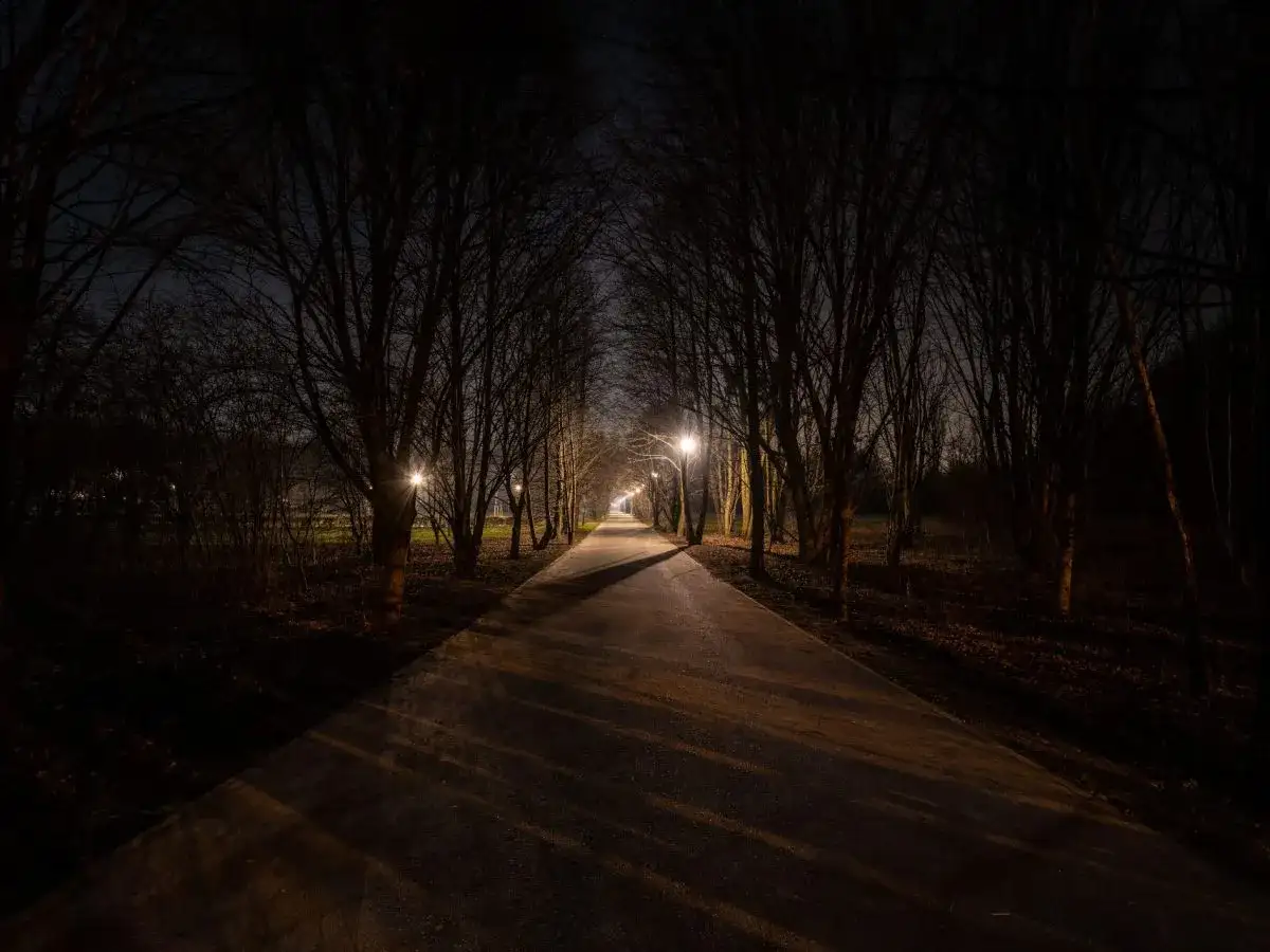 Ciemna aleja parkowa nocą, oświetlona latarniami. Brak światła przypomina kurzą ślepotę, brak jakiej witaminy A.